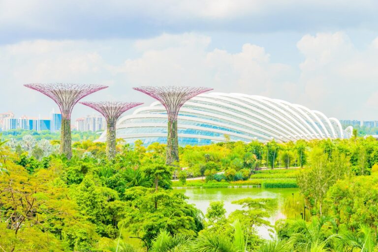 Gardens by the Bay, a symbol of innovation in Singapore, representing the modern backdrop for digital signage company deployments